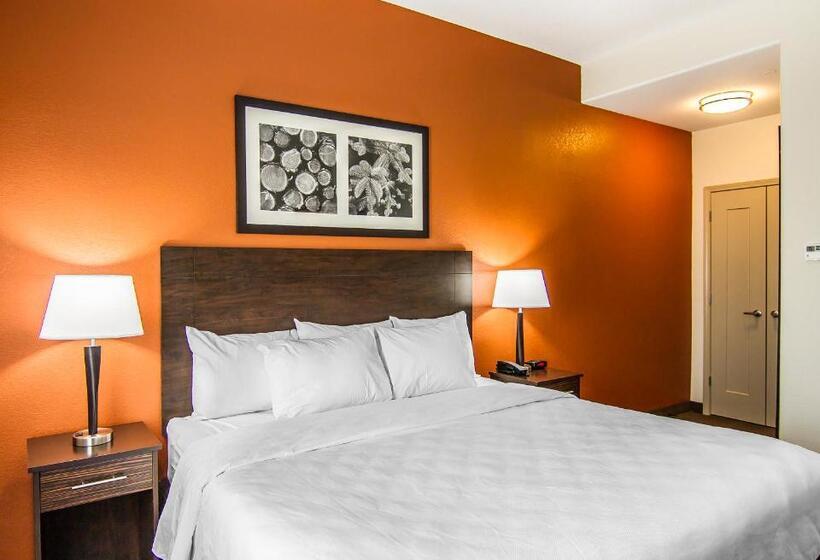 Стандартный Номер Кровать Кинг, Mainstay Suites Lufkin