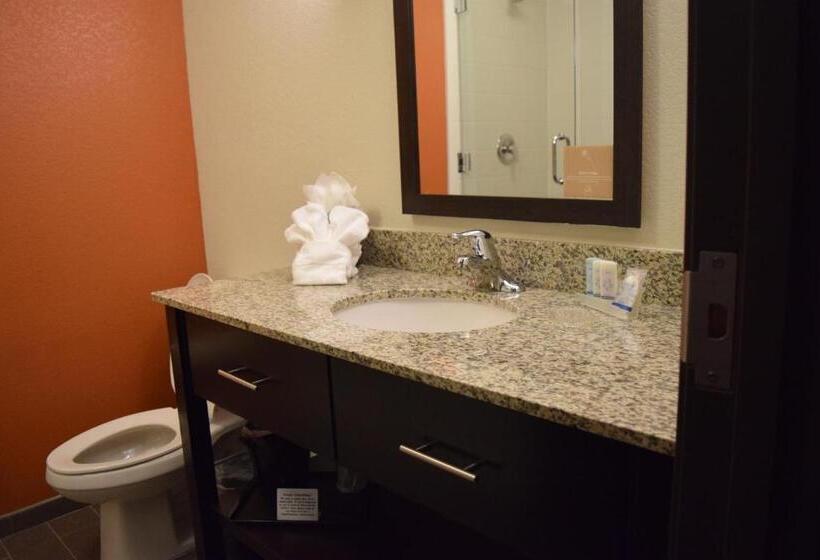 Номер Стандарт, Mainstay Suites Lufkin