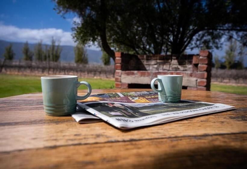Номер Deluxe, Saronsberg Vineyard Cottages