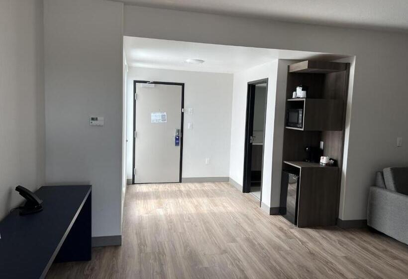 Люкс Адаптированный для Инвалидов, Comfort Inn & Suites New Port Richey Downtown District