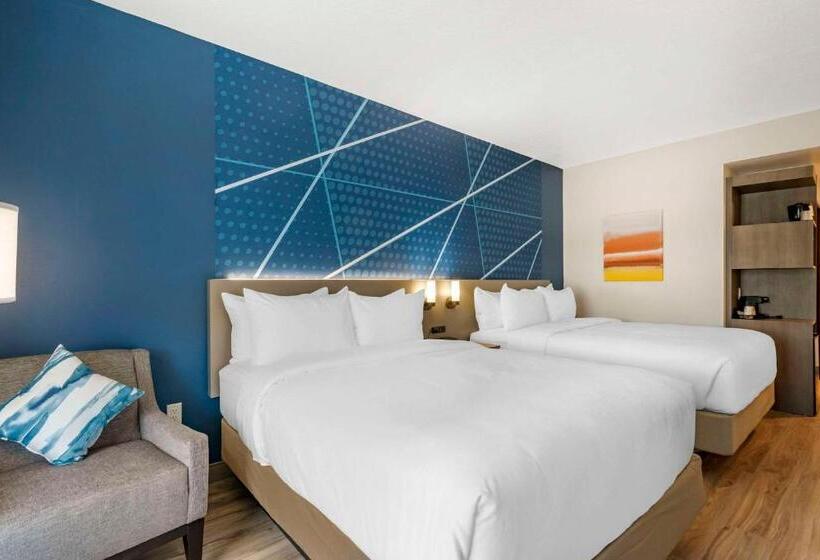 Номер Стандарт, Comfort Inn & Suites New Port Richey Downtown District