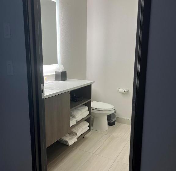 Номер Стандарт, Comfort Inn & Suites New Port Richey Downtown District
