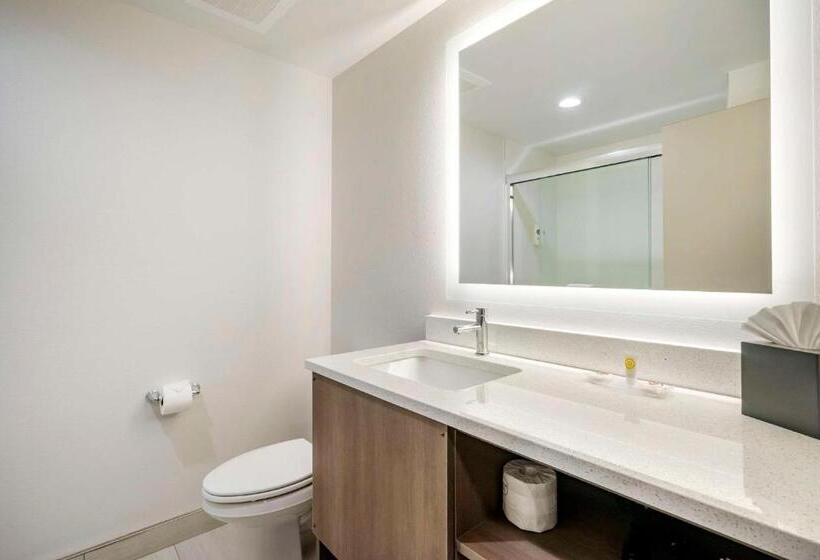 Люкс, Comfort Inn & Suites New Port Richey Downtown District