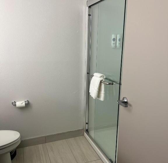 Номер Стандарт, Comfort Inn & Suites New Port Richey Downtown District