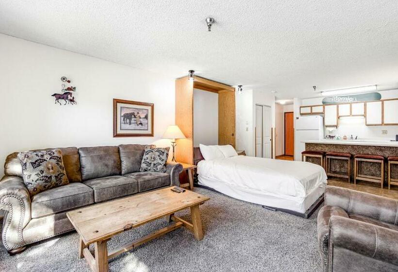 Студия Стандарт, Snowblaze Condominiums E103