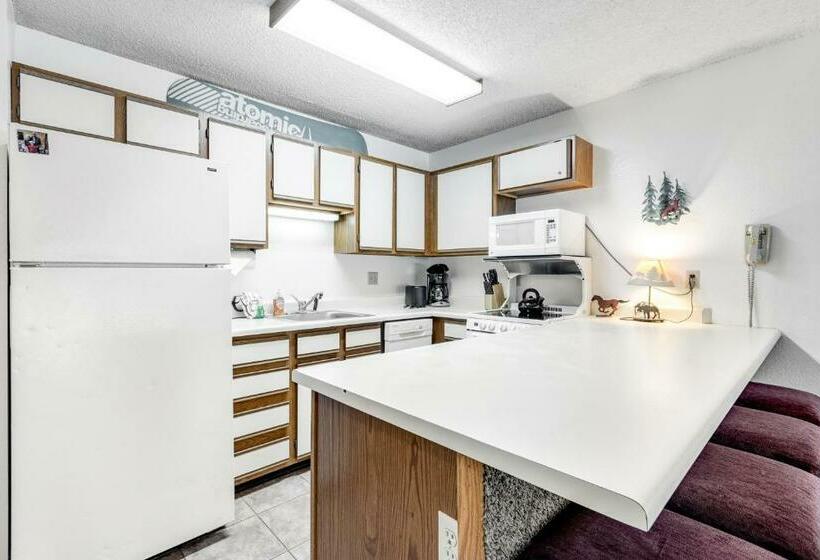 Студия Стандарт, Snowblaze Condominiums E103