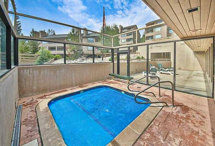 Студия Стандарт, Snowblaze Condominiums E103