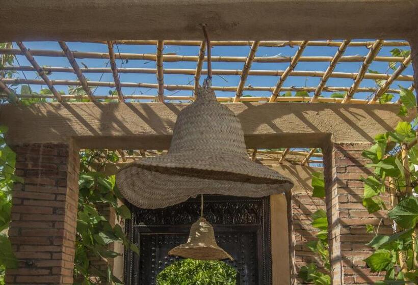چادر با خدمات رفاهی استاندارد, Manzil La Tortue