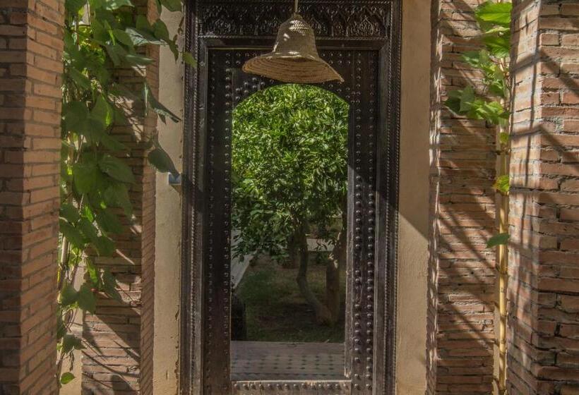 چادر با خدمات رفاهی استاندارد, Manzil La Tortue