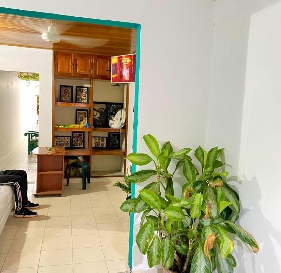 اتاق استاندارد چهار تخته, Aurelia Compartida Hospedaje