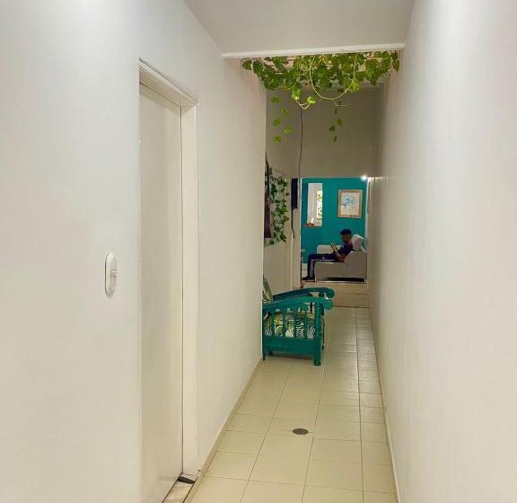 اتاق استاندارد چهار تخته, Aurelia Compartida Hospedaje