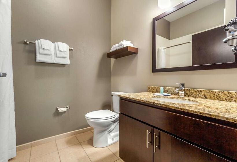 Люкс, Mainstay Suites Lincoln University Area