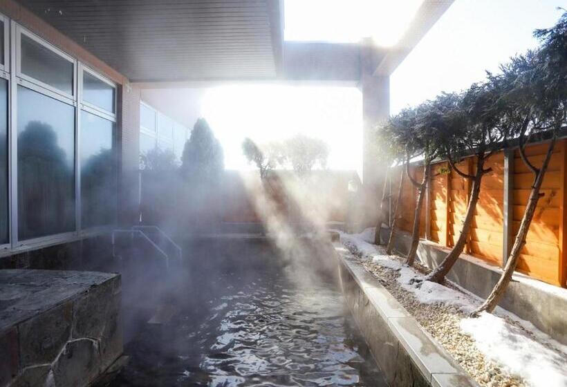 Студия Стандарт, Japanese Auberge Plaza Ryokufu Natural Hot Spring   Vacation Stay 03265v