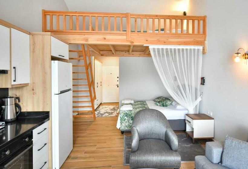 استودیو استاندارد با بالکن, Red Moon Suites