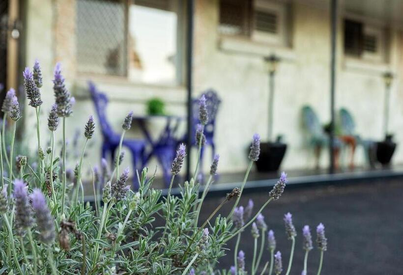침실 1개 아파트, Toowoomba Hospital Apartments
