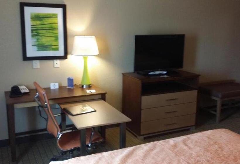 غرفة قياسية سرير كينج, Best Western Plus Flatonia Inn
