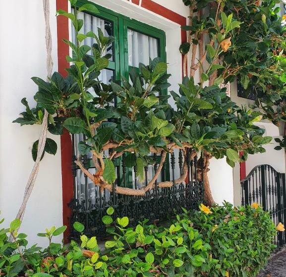 침실 1개 아파트, Billy S Marina Apartments With Pool Access, Puerto De Mogan
