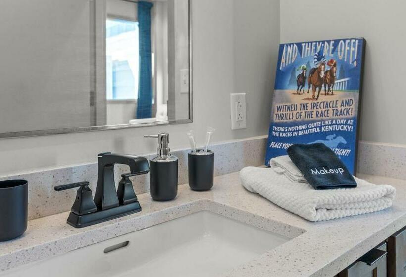 استودیوی استاندارد, 175 Lex   Walkable Downtown Lexington & Rupp Arena   Full Condos