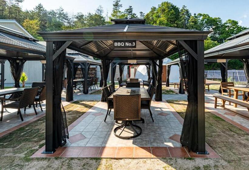 Номер Стандарт, Futureresort