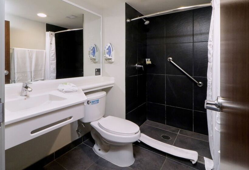 Номер Superior, City Express Plus By Marriott Monterrey Galerías