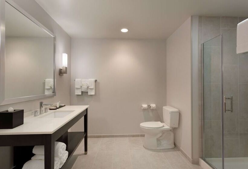سوئیت برای معلولان, Embassy Suites By Hilton Kansas City Olathe