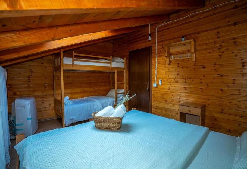4 Bett Standardzimmer, Bee Eco Guest House