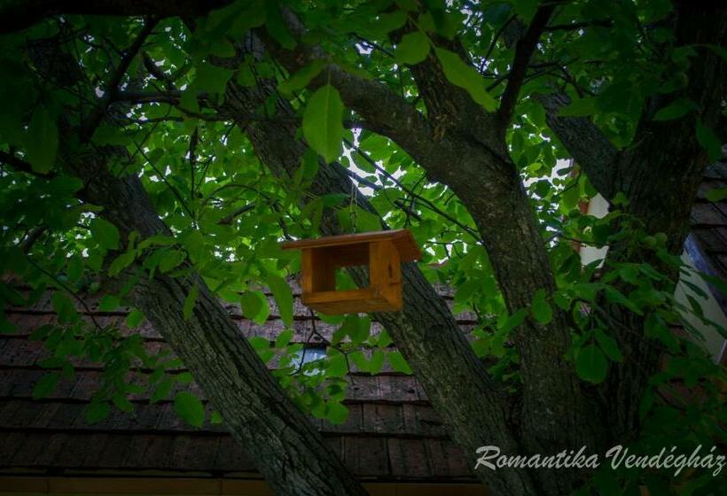 Дом 1 Спальня, Romantika Vendégház
