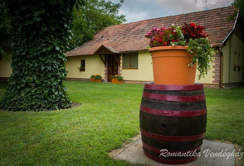 Дом 1 Спальня, Romantika Vendégház
