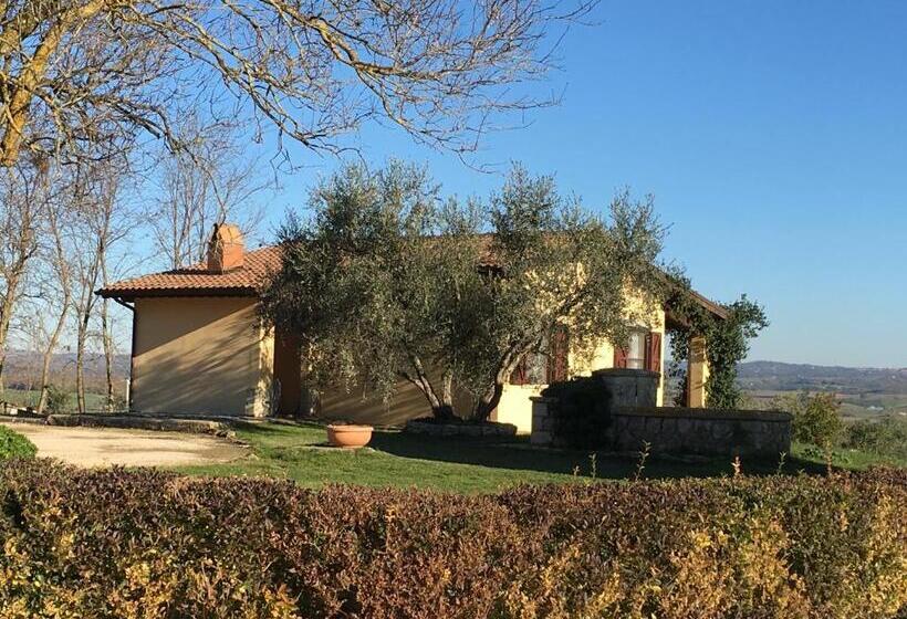 Студия Стандарт, Agriturismo Terre Di Musignano