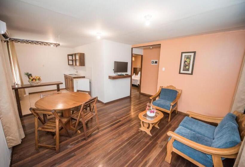 اتاق استاندارد یک نفره, Manish Hotel Ecólogico