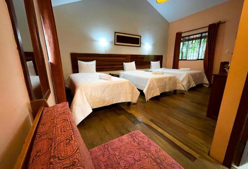 اتاق استاندارد سه نفره, Manish Hotel Ecólogico