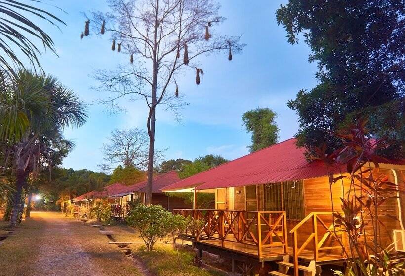 بانگلوی استاندارد 2 خوابه, Manish Hotel Ecólogico