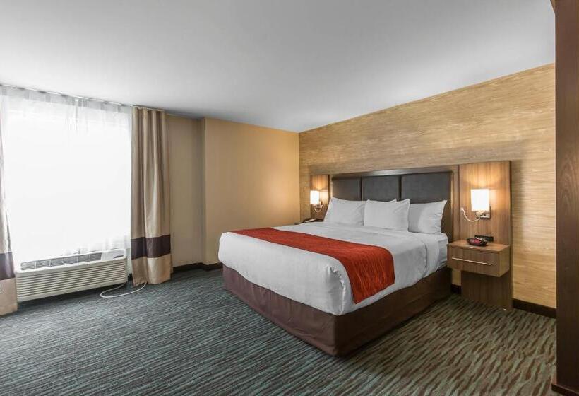 キングサイズベッドのスタンダードルーム, Comfort Inn & Suites Airport North