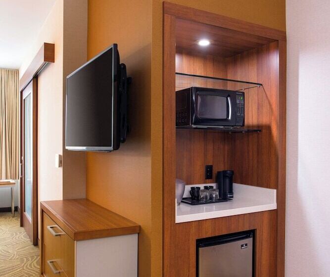 스탠다드 스튜디오 더블 침대, Springhill Suites By Marriott Los Angeles Burbank/downtown