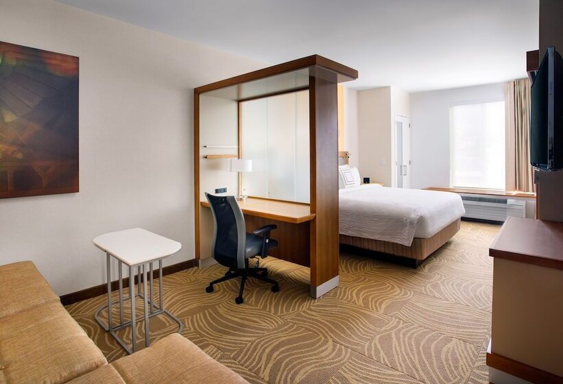 스탠다드 스튜디오 더블 침대, Springhill Suites By Marriott Los Angeles Burbank/downtown