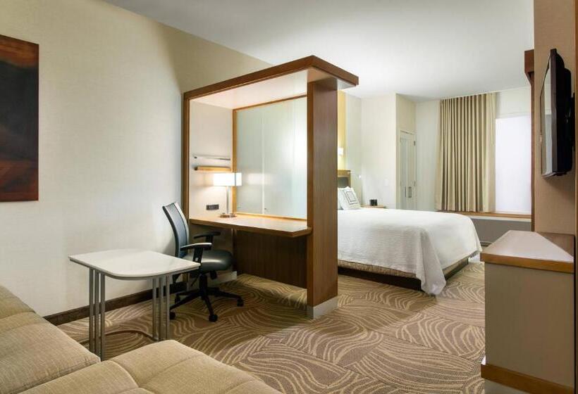 스탠다드 스튜디오 킹침대, Springhill Suites By Marriott Los Angeles Burbank/downtown