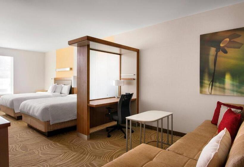 스탠다드 스튜디오 더블 침대, Springhill Suites By Marriott Los Angeles Burbank/downtown
