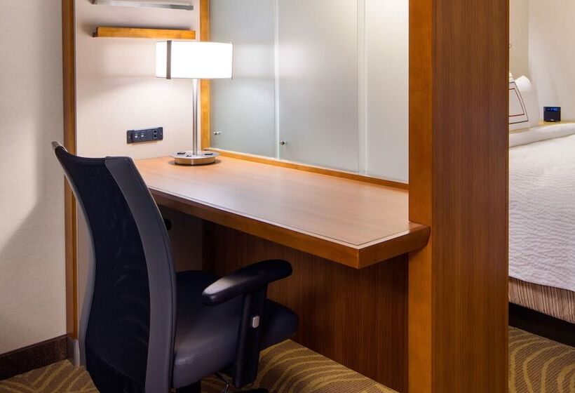 스튜디오 산전망, Springhill Suites By Marriott Los Angeles Burbank/downtown