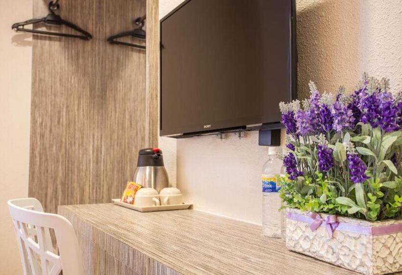 スタンダードシングルルーム, Lavender Inn Nusa Bestari