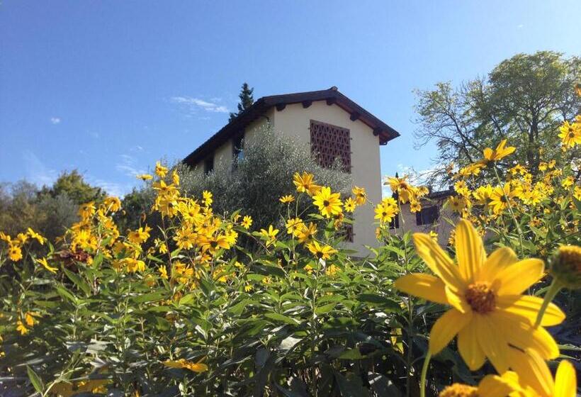 Трехместный Номер Superior, Il Poggiolo Delle Rose Bed&breakfast