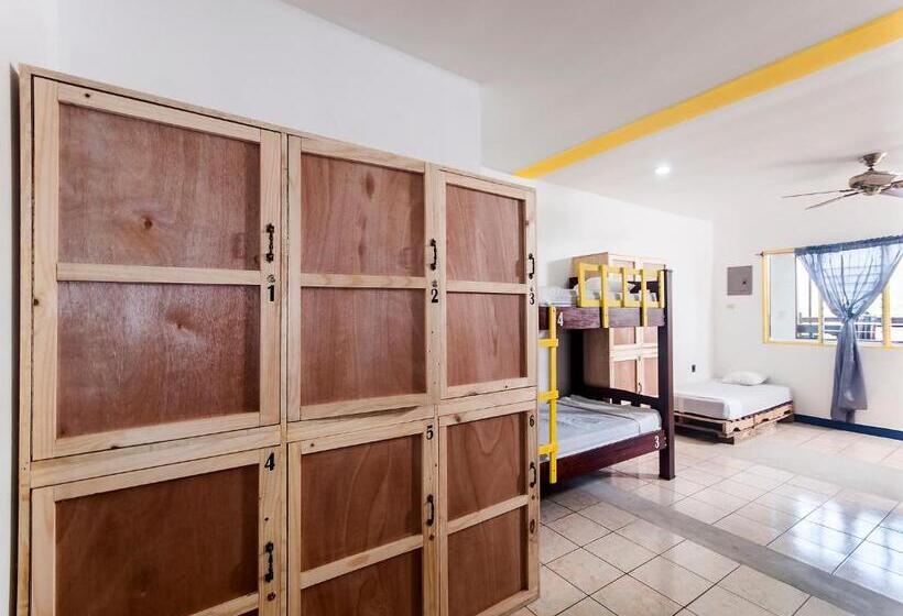 تختخواب در اتاق مشترک, La Hacienda Rooms & Food