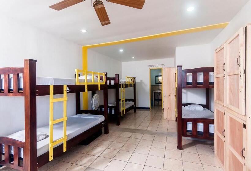 تختخواب در اتاق مشترک, La Hacienda Rooms & Food