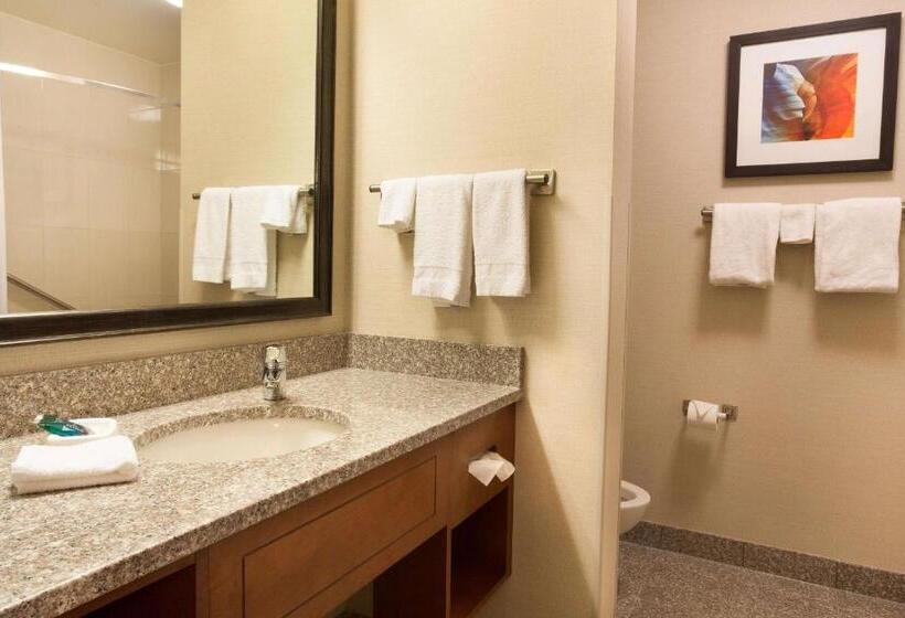 Люкс, Drury Plaza Hotel Phoenix Tempe