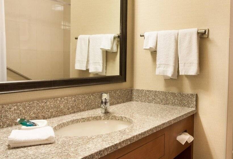 Habitació Deluxe, Drury Plaza Hotel Phoenix Tempe