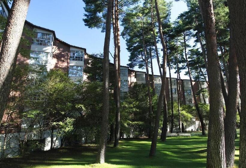 Номер Стандарт, Fuji Premium Resort