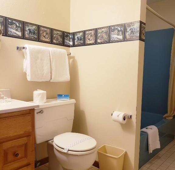 Номер Deluxe, North Ironwood Acres   Black River Lodge