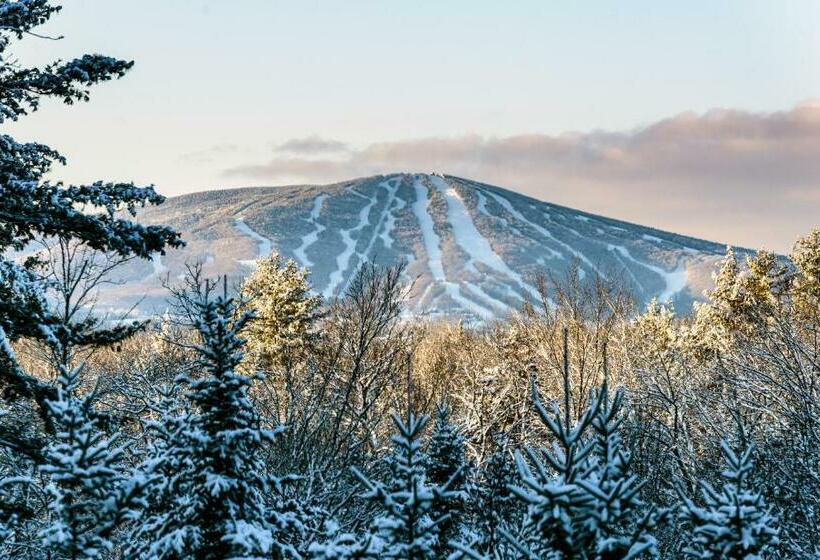 Апартаменты 2 Спальни, Long Trail House Condominiums At Stratton Mountain Resort
