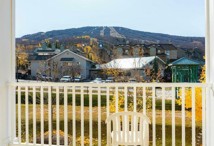 Апартаменты 1 Спальня, Long Trail House Condominiums At Stratton Mountain Resort
