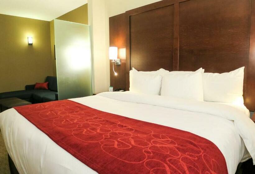 스위트 킹사이즈 침대, Comfort Suites Regina