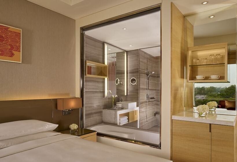 اتاق استاندارد, Hyatt Regency Chandigarh